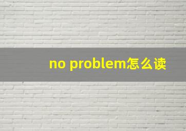 no problem怎么读